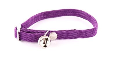 Martin Halsband Kat Elastisch Nylon Paars 30X1 CM - Best4pets.nl