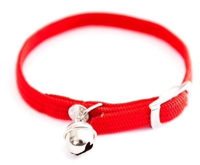 Martin Halsband Kat Elastisch Nylon Rood 30X1 CM - Best4pets.nl