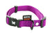 Martin Halsband Nylon Paars Verstelbaar - Best4pets.nl