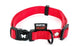 Martin Halsband Nylon Rood Verstelbaar - Best4pets.nl