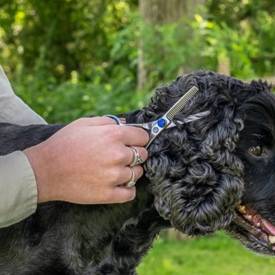 Mikki Doodle Effileerschaar Voor Kop En Poten - Best4pets.nl