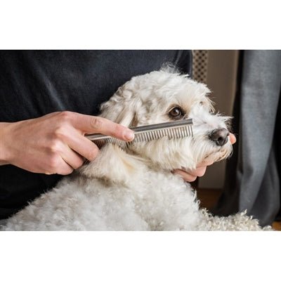 Mikki Doodle Grooming Kit Met Kam En Slickerborstel - Best4pets.nl