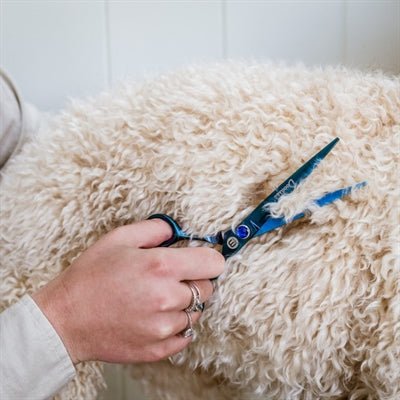 Mikki Doodle Schaar Recht - Best4pets.nl