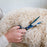 Mikki Doodle Schaar Recht - Best4pets.nl