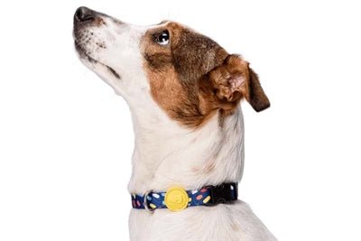 Morso Halsband Hond Gerecycled Color Invaders Paars - Best4pets.nl