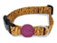 Morso Halsband Hond Gerecycled Jungle Drum Groen - Best4pets.nl