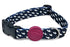 Morso Halsband Hond Gerecycled Power Flow Zwart - Best4pets.nl