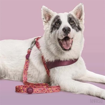 Morso Hondenriem Gerecycled Pink Think Roze - Best4pets.nl