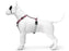 Morso Hondentuig H - Tuig Gerecycled Skyline Rood / Roze - Best4pets.nl