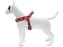 Morso Mini Hondentuig Verstelbaar Gerecycled Bubble Leo Roze - Best4pets.nl