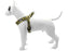 Morso Mini Hondentuig Verstelbaar Gerecycled Full Metal Dog Bruin - Best4pets.nl