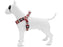 Morso Mini Hondentuig Verstelbaar Gerecycled Skyline Rood / Roze - Best4pets.nl