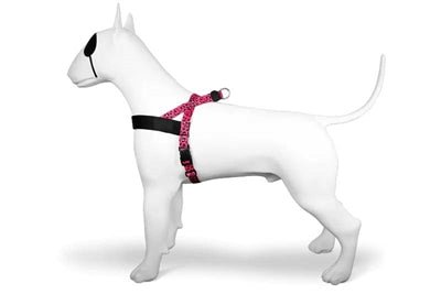 Morso Norwegian Hondentuig Gerecycled Bubble Leo Roze - Best4pets.nl