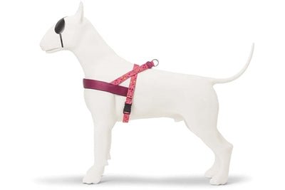 Morso Norwegian Hondentuig Gerecycled Pink Think Roze - Best4pets.nl