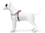 Morso Norwegian Hondentuig Gerecycled Skyline Rood / Roze - Best4pets.nl