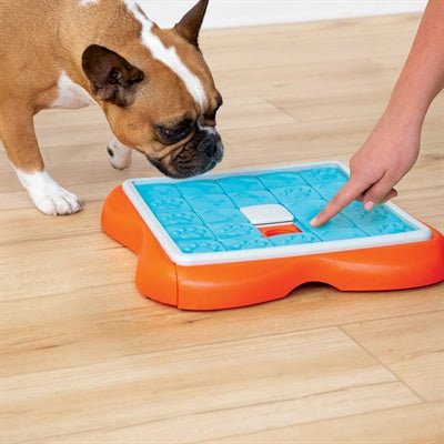 Nina Ottosson Challenge Slider Oranje / Blauw 38X38X5 CM - Best4pets.nl