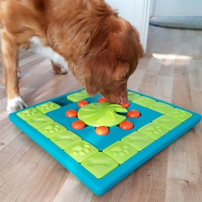 Nina Ottosson Multipuzzle Blu  38X38X5 CM - Best4pets.nl