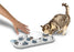 Nina Ottosson Puzzle & Play Rainy Day 39X24X2 CM - Best4pets.nl