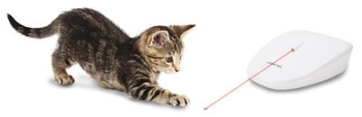 Petsafe Laser Tail - Best4pets.nl