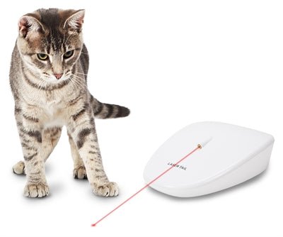 Petsafe Laser Tail - Best4pets.nl