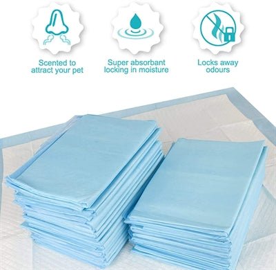 Petsentials Puppy Training Pads - Best4pets.nl