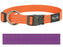 Rogz For Dogs Fanbelt Halsband Paars 20 MMX34 - 56 CM - Best4pets.nl