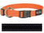 Rogz For Dogs Fanbelt Halsband Zwart 20 MMX34 - 56 CM - Best4pets.nl