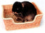 Rosewood Chill 'N' Snooze Knaagdierbed 33X26 CM - Best4pets.nl