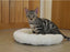 Rosewood Kattenmand Kitten Sleeper Creme 36 CM - Best4pets.nl