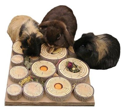 Rosewood Maze - A - Log Treat Challenge 30X30X5 CM - Best4pets.nl