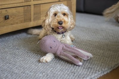 Rosewood Tufflove Octopus - Best4pets.nl