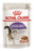 Royal Canin Feline Sterilised In Gravy 12X85 GR - Best4pets.nl