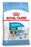 Royal Canin Mini Puppy 2 KG - Best4pets.nl