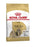 Royal Canin Shih Tzu Adult 1,5 KG - Best4pets.nl