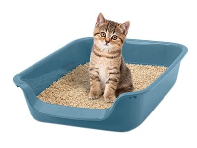 Savic Junior Kattenbak Blauw 56X39X13 CM - Best4pets.nl