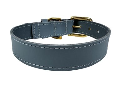 Sazzz Halsband Hond Braveheart Classic Leer Lichtblauw - Best4pets.nl