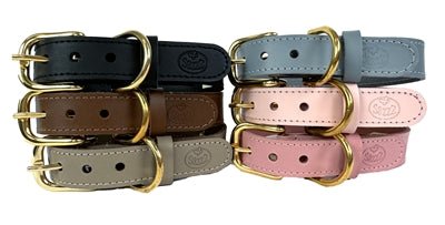 Sazzz Halsband Hond Braveheart Classic Leer Lichtblauw - Best4pets.nl