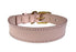 Sazzz Halsband Hond Braveheart Classic Leer Lichtroze - Best4pets.nl