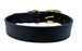 Sazzz Halsband Hond Braveheart Classic Leer Zwart - Best4pets.nl