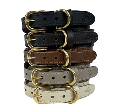 Sazzz Halsband Hond Pioneer Classic Leer Taupe - Best4pets.nl