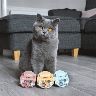 Scrumbles Complete Cat Wet Variety Pack 6X85 GR - Best4pets.nl