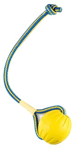 Starmark Swing 'N Fling Durafoam Fetch Bal Aan Koord - Best4pets.nl