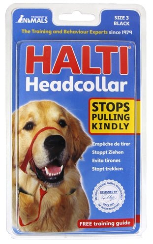 The Company Of Animals Company Of Animals Halti Headcollar Zwart - Best4pets.nl