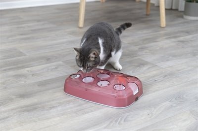 Trixie Activiteitenspeelgoed Voor Katten Voetbal Kunststof - Best4pets.nl