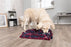 Trixie Activity Snuffelmat Assorti 50X34 CM - Best4pets.nl