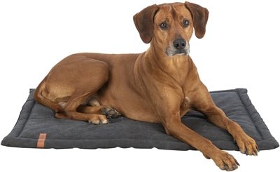 Trixie Be Nordic Hondenligmat Fohr Zwart - Best4pets.nl