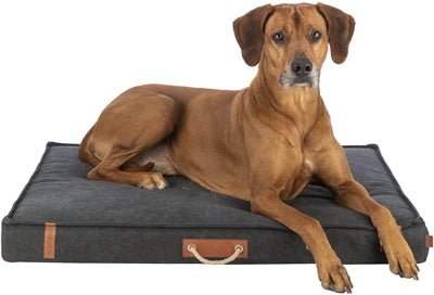 Trixie Be Nordic Hondenmatras Fohr Zwart - Best4pets.nl