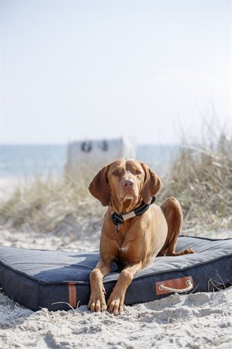 Trixie Be Nordic Hondenmatras Fohr Zwart - Best4pets.nl