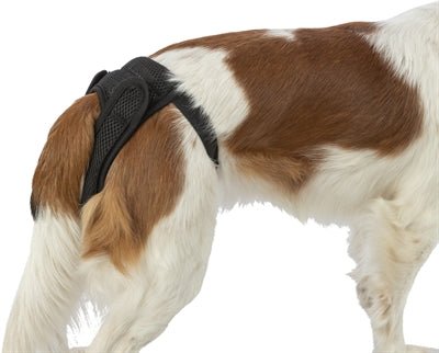 Trixie Beschermbroekje Comfort Mesh Materiaal Zwart - Best4pets.nl