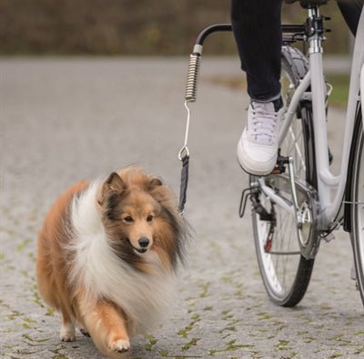 Trixie Bikerset Fietsbeugel Springer - Best4pets.nl